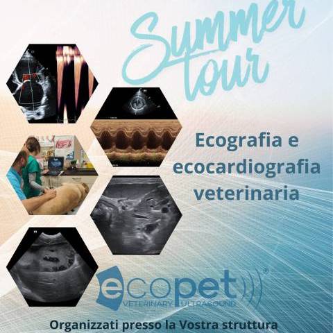 Stage individuale di ecografia ed ecocardiografia